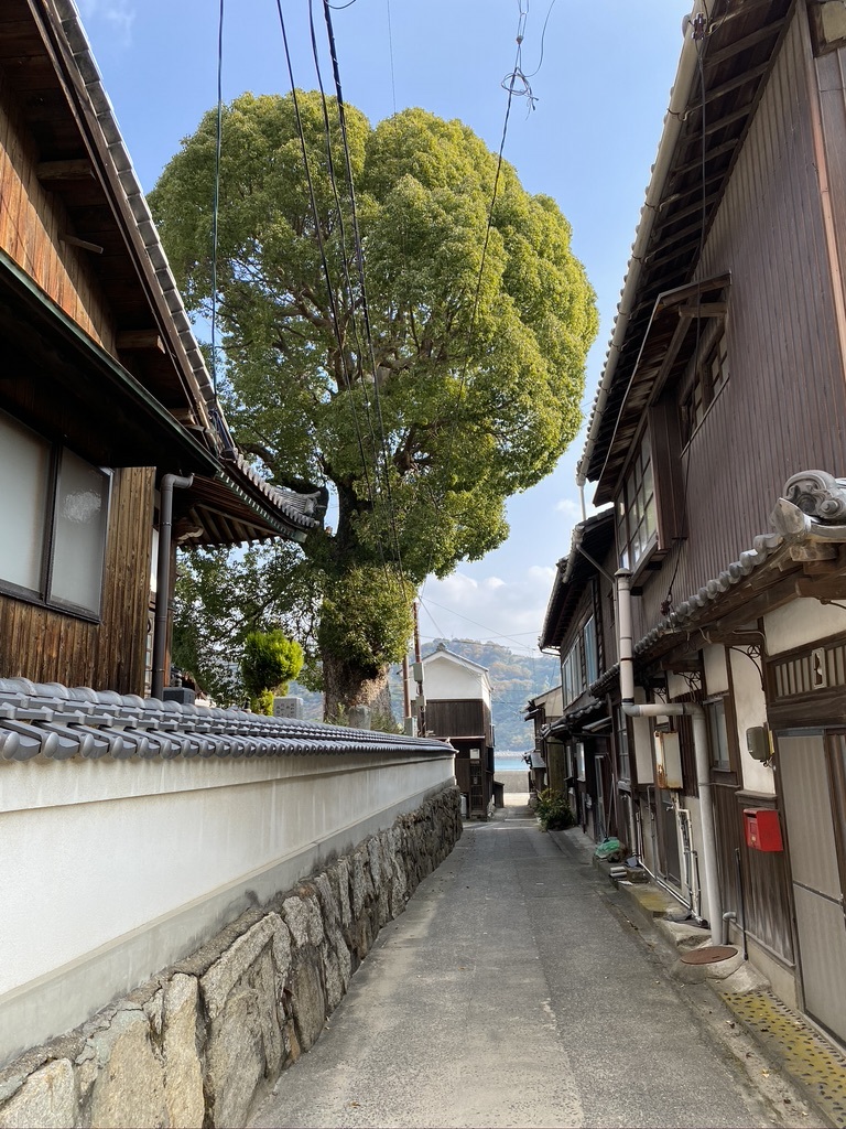 とびしま街道を通って　〜街並み保存地区御手洗へ〜_c0334574_20164442.jpeg
