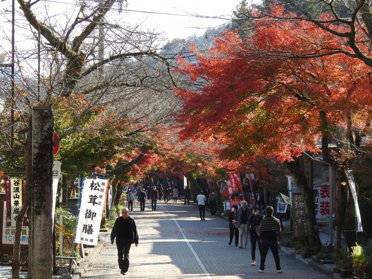 『谷汲山華厳寺の紅葉風景　2』_d0054276_20013993.jpg