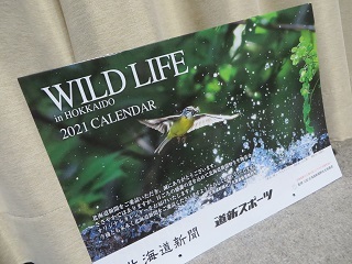 来年のカレンダーが届く_b0405523_12593170.jpg