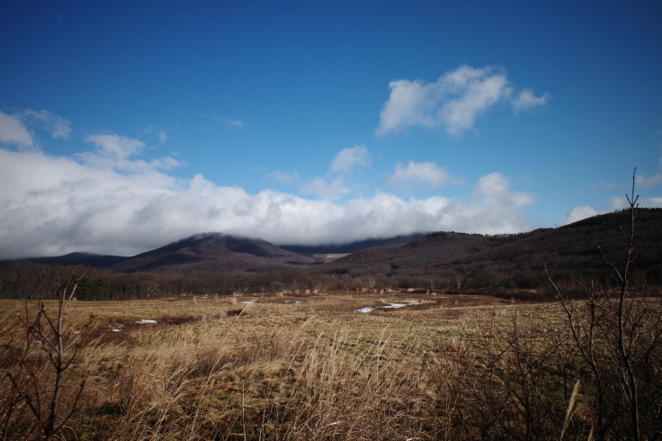 Go to トラベル in 青森県 その11_a0287336_23355879.jpg