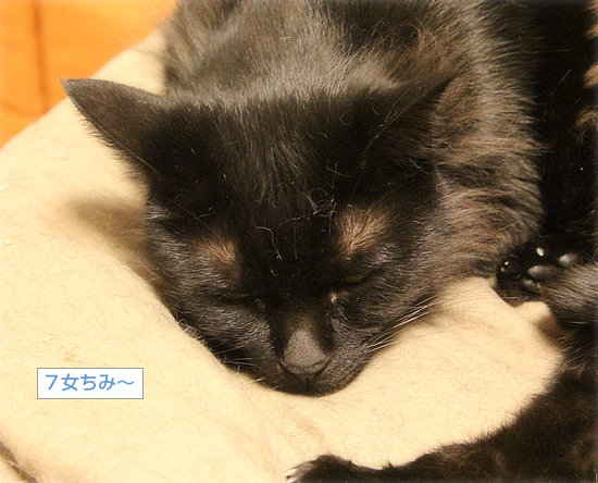 だんだん心開いて_a0389088_03073614.jpg