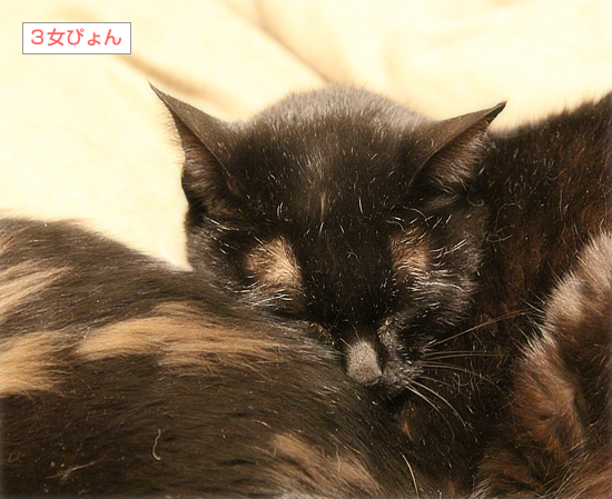 だんだん心開いて_a0389088_03073698.jpg