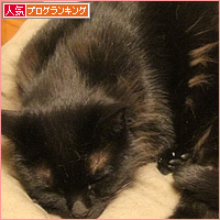 だんだん心開いて_a0389088_03073728.jpg