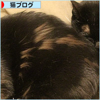 だんだん心開いて_a0389088_03073744.jpg