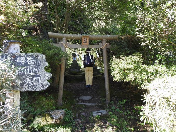 御岩神社 強力なパワースポット 土日祝日限定の見開きの御朱印 御朱印の森