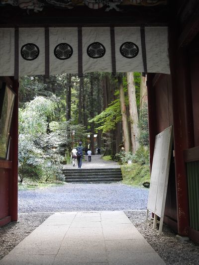 御岩神社 強力なパワースポット 土日祝日限定の見開きの御朱印 御朱印の森