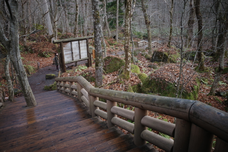 Go to トラベル in 青森県 その12 ~ 奥入瀬渓流 十和田湖_a0287336_17254921.jpg