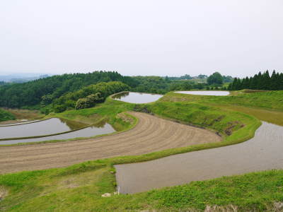 熊本の安全で美味しいお米の紹介!その1:水にこだわる匠の『菊池水源棚田米』_a0254656_17300899.jpg