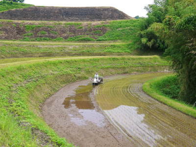 熊本の安全で美味しいお米の紹介!その1:水にこだわる匠の『菊池水源棚田米』_a0254656_17515120.jpg