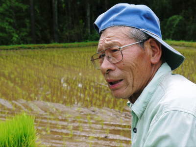 熊本の安全で美味しいお米の紹介！その１：水にこだわる匠の『菊池水源棚田米』_a0254656_17532786.jpg