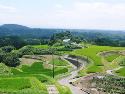 熊本の安全で美味しいお米の紹介!その1:水にこだわる匠の『菊池水源棚田米』_a0254656_17590091.jpg