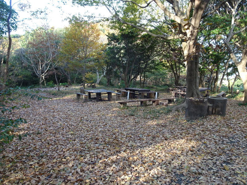 刈った笹片付け・丸太割り・・・うみべの森_c0108460_14360397.jpg