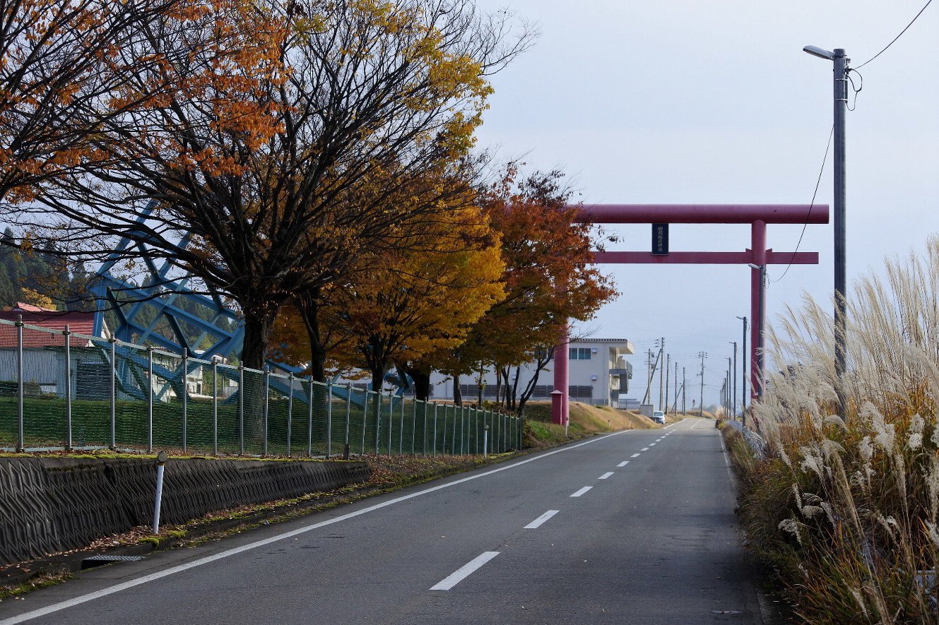 新潟そぞろ歩き・Go To 十日町：アート巡り（１）_f0049074_05592846.jpg