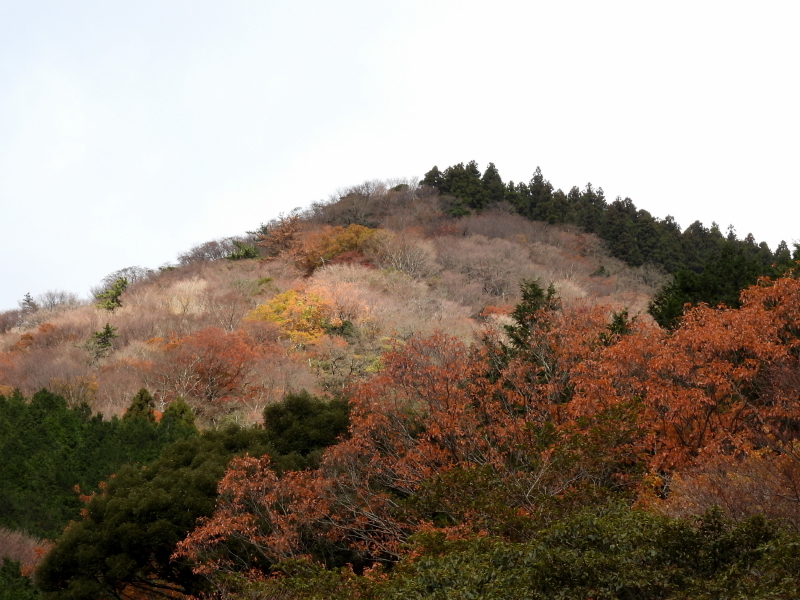 初冬のもみじ狩り_e0149891_20540778.jpg