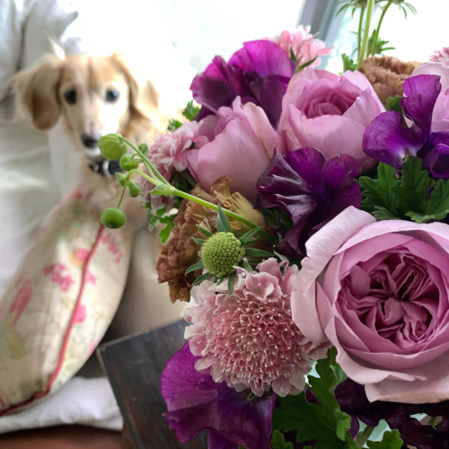 結婚記念日のブーケ_b0105897_07513248.jpg