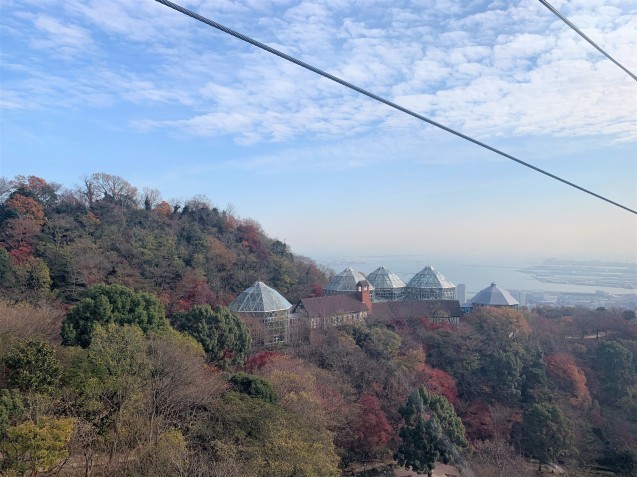 布引の紅葉 神戸布引ハーブ園 ハーブガイド ハーブ花ごよみ