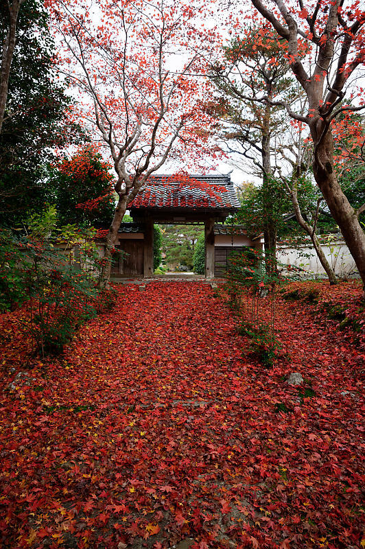 2020京都の紅葉・亀岡　内緒のお寺_f0032011_19363232.jpg