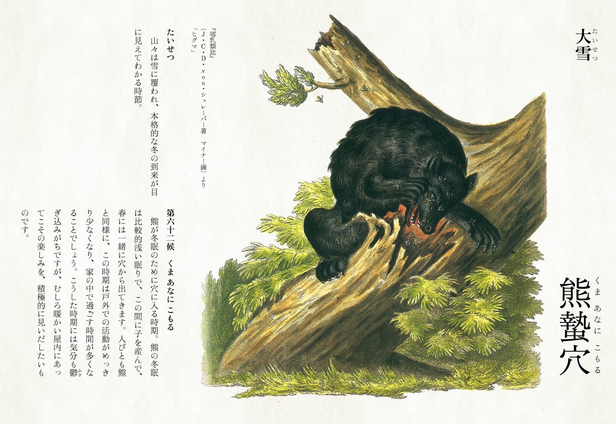 「ときめく**図鑑」めぐり_c0025115_21302178.jpg