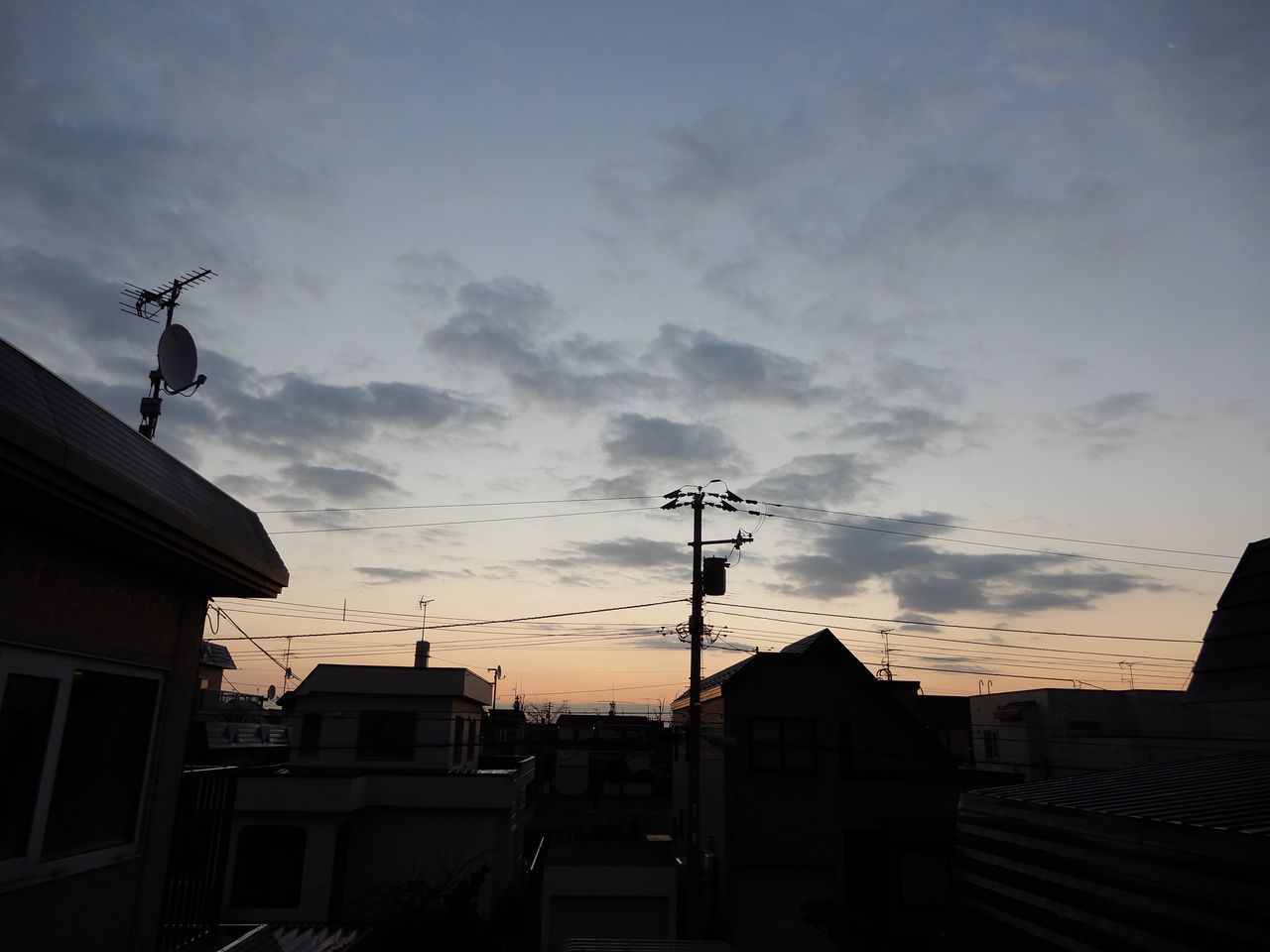 「ときめく**図鑑」めぐり_c0025115_21333443.jpg