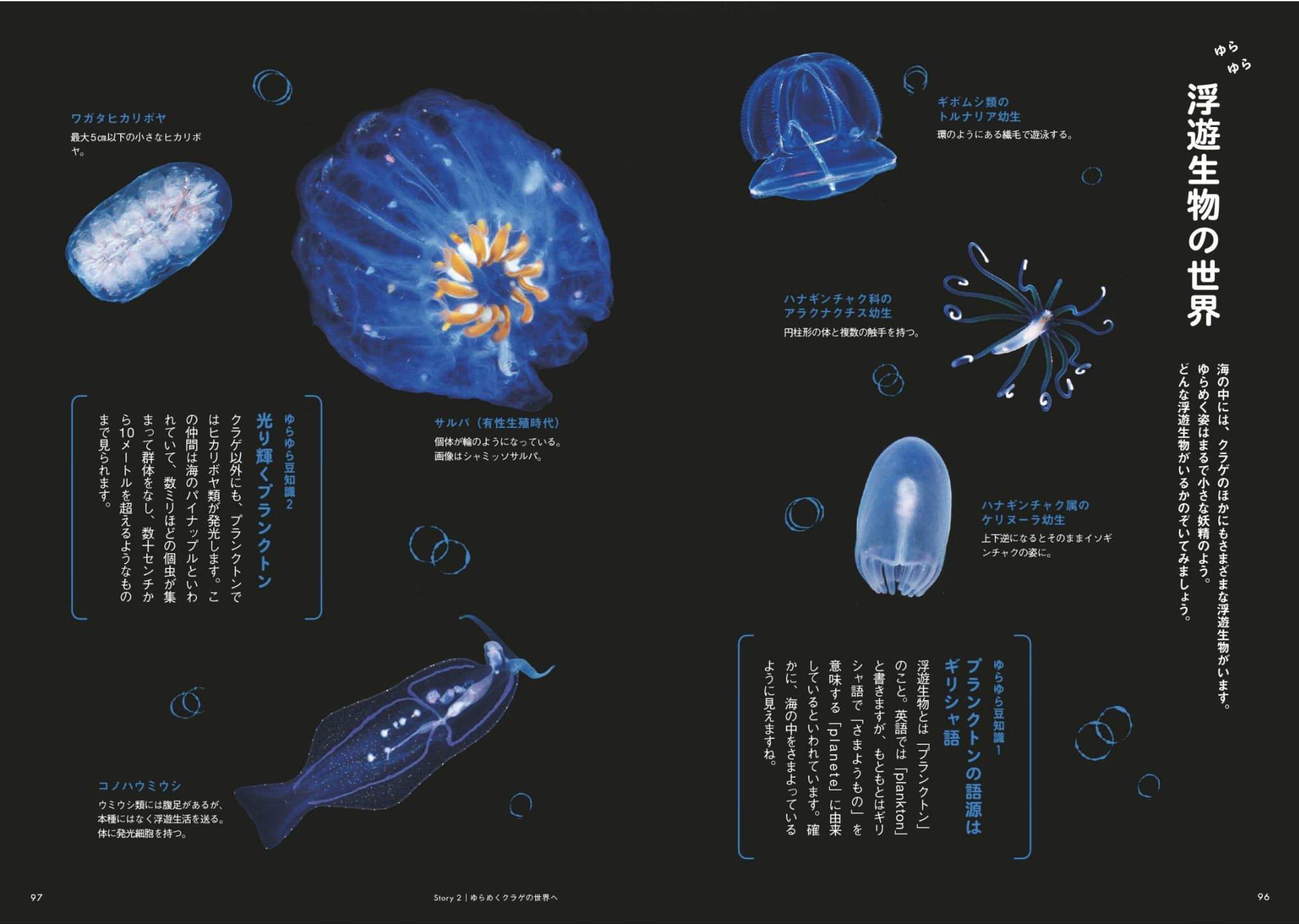 「ときめく**図鑑」めぐり_c0025115_21372787.jpg