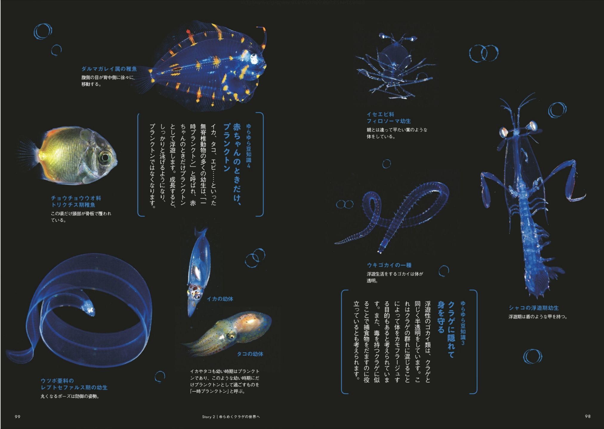 「ときめく**図鑑」めぐり_c0025115_21373154.jpg