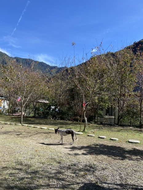 泡湯去_f0057324_21112168.jpeg