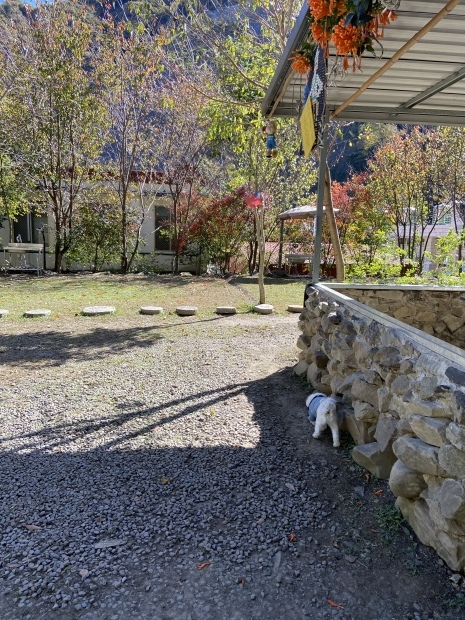 泡湯去_f0057324_21114026.jpeg