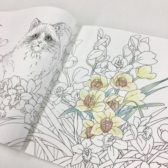 【新刊本】塗り絵BOOkをご紹介♪_d0239135_11273145.jpeg