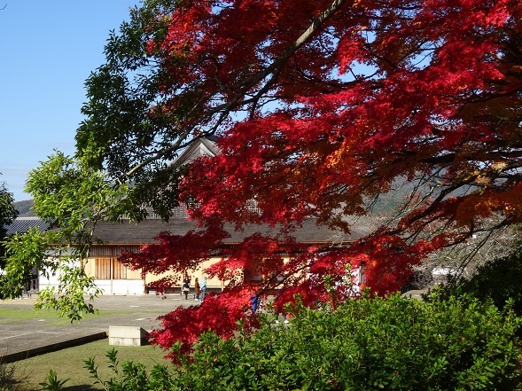 篠山城跡の紅葉 彩の気まぐれ写真