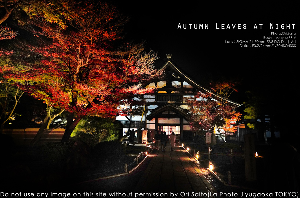 京都、あの夜。高台寺ライトアップをSIGMA 24-70mm F2.8 DG DN Art + sony α7RIV 実写_f0212049_03050859.jpg
