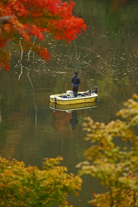 笹川湖の紅葉　　2020-12-18_e0229455_17120961.jpg