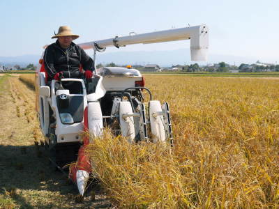 熊本の安全で美味しいお米の紹介!その2:土にこだわる匠のれんげを有機肥料にした『砂田のれんげ米』_a0254656_17002786.jpg