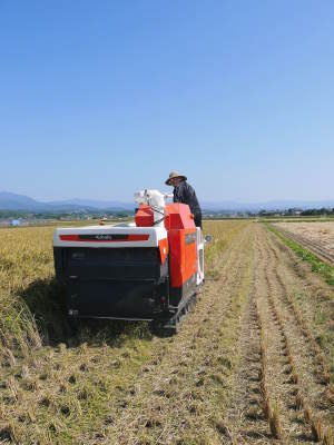 熊本の安全で美味しいお米の紹介!その2:土にこだわる匠のれんげを有機肥料にした『砂田のれんげ米』_a0254656_17110301.jpg