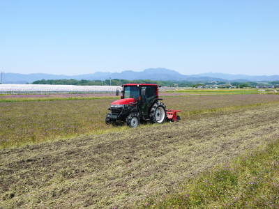 熊本の安全で美味しいお米の紹介!その2:土にこだわる匠のれんげを有機肥料にした『砂田のれんげ米』_a0254656_17134829.jpg