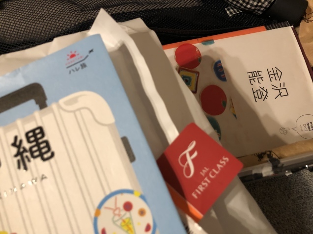 無事に帰宅。_a0394574_21481351.jpeg
