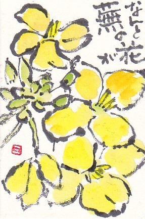 初冬に菜の花 絵手紙の小窓 初冬に菜の花 絵手紙の小窓