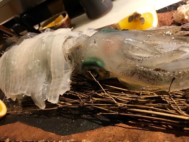 冬は水イカ(アオリイカ)_f0232994_16413068.jpg