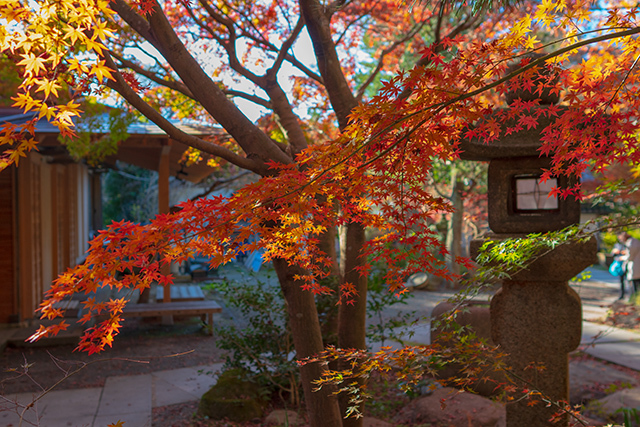 覚園寺の紅葉_b0145398_19504616.jpg