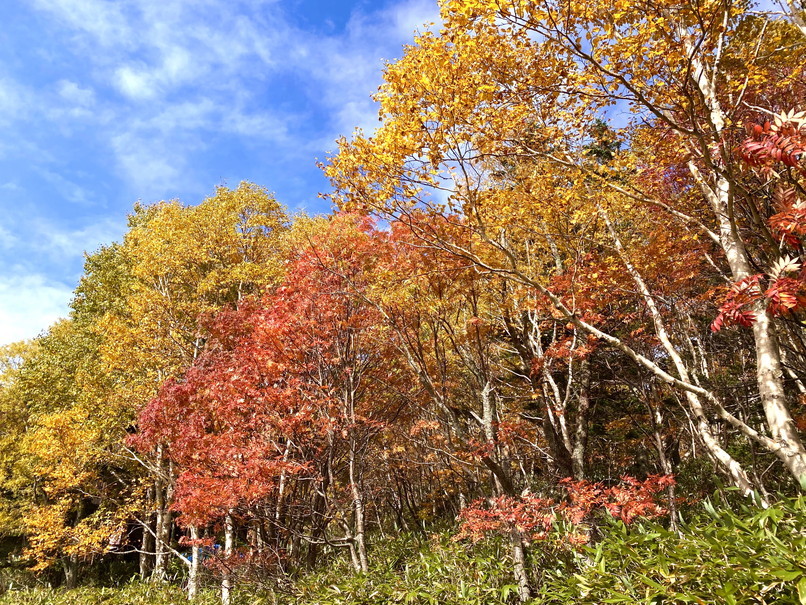 2020年10月 『秋の空沼岳、懐かしの写真と想い出』 October 2020 \"Mt Soranuma in the Autumn with Old Photos and Memories\"_c0219616_16323972.jpg