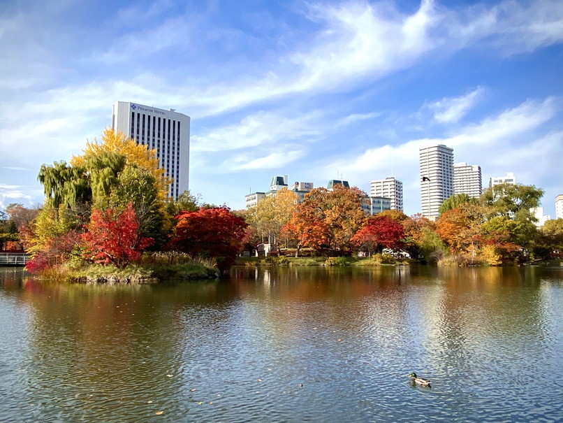 2020年10月 『錦秋の札幌：八剣山、中島公園、北海道大学』October 2020 \"Autumn Color in Sapporo\"_c0219616_17575906.jpg