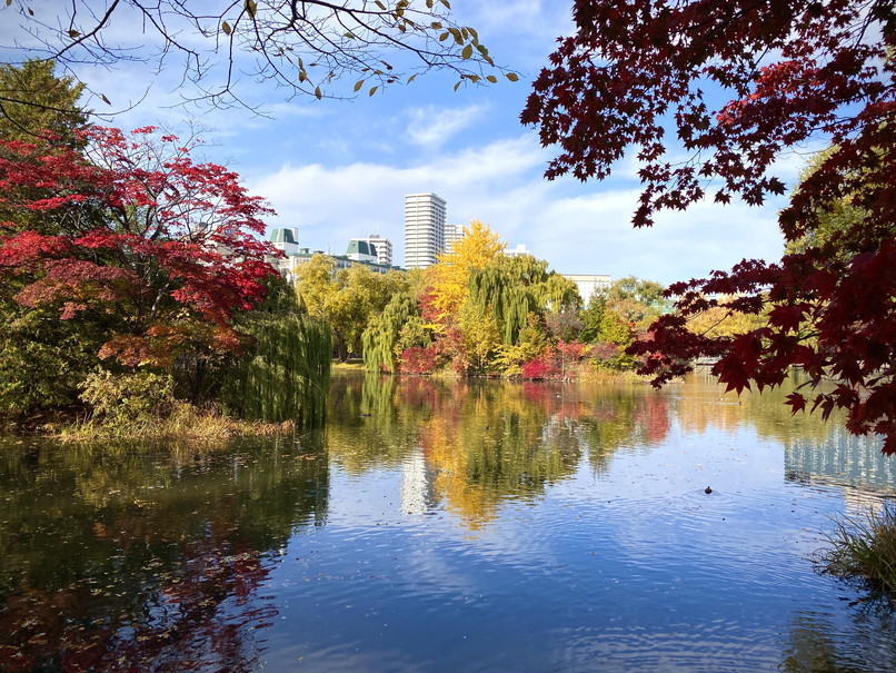 2020年10月 『錦秋の札幌：八剣山、中島公園、北海道大学』October 2020 \"Autumn Color in Sapporo\"_c0219616_17575936.jpg