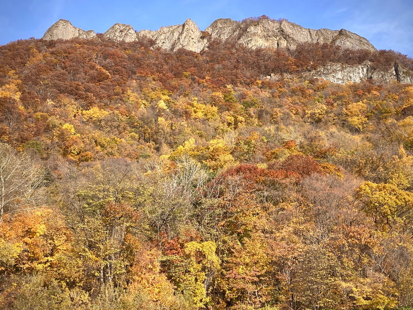 2020年10月 『錦秋の札幌：八剣山、中島公園、北海道大学』October 2020 \"Autumn Color in Sapporo\"_c0219616_17575970.jpg