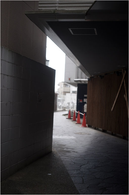 2204 包容感(2020年5月8日エルマー50mmF3.5奈良町をやんわりと包み込み)_b0226423_21500952.jpg