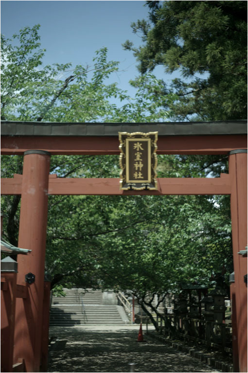 2204 包容感(2020年5月8日エルマー50mmF3.5奈良町をやんわりと包み込み)_b0226423_21534009.jpg