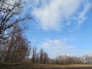 戦線離脱?_b0405523_15345499.jpg