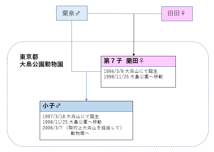 大森山の蘭泉さん・田田さんの子孫たち： 日本のフタコブラクダの系譜をたどる（中間報告）_c0188824_23370821.png