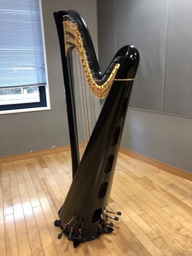 中古ハープのご案内 : 大竹智巳 ハープブログ
