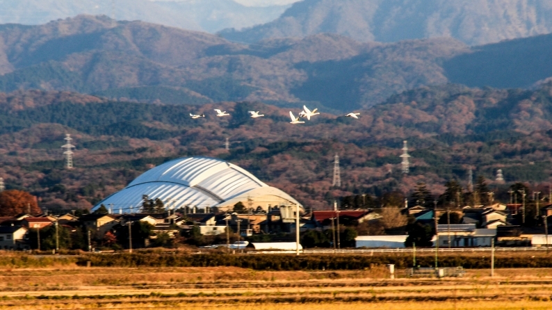 回想 (1155_d0060435_15321922.jpg