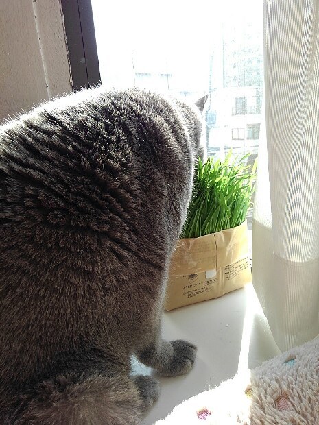いちくん通院_d0152937_21374710.jpg