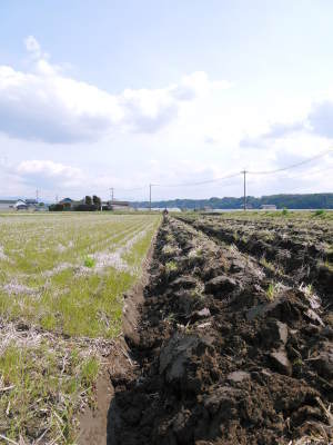 熊本の安全で美味しいお米の紹介!その3:惜しまぬ手間ひまの匠が美しすぎる田んぼで育てた『七城米』_a0254656_17002583.jpg